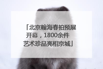 北京翰海春拍预展开幕，1800余件艺术珍品亮相京城