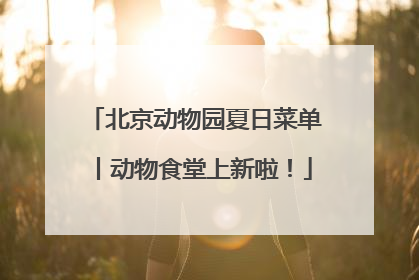 北京动物园夏日菜单丨动物食堂上新啦！