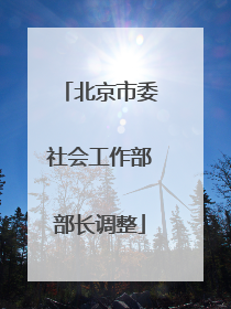 北京市委社会工作部部长调整