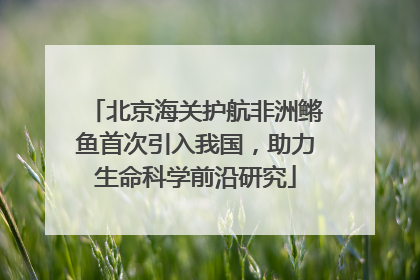北京海关护航非洲鳉鱼首次引入我国，助力生命科学前沿研究