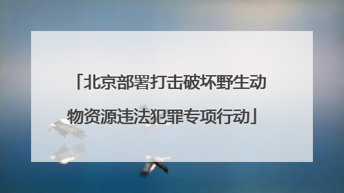 北京部署打击破坏野生动物资源违法犯罪专项行动