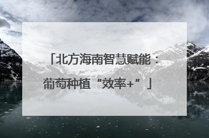 北方海南智慧赋能：葡萄种植“效率+”