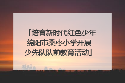 培育新时代红色少年 绵阳市桑枣小学开展少先队队前教育活动