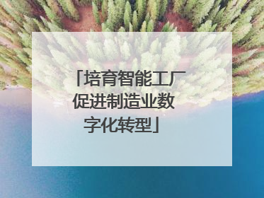 培育智能工厂 促进制造业数字化转型