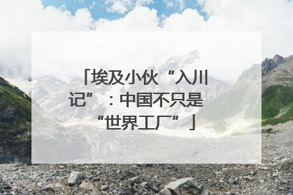埃及小伙“入川记”：中国不只是“世界工厂”