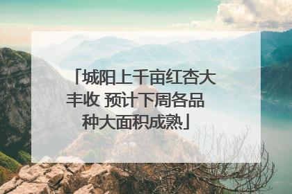 城阳上千亩红杏大丰收 预计下周各品种大面积成熟