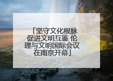 坚守文化根脉 促进文明互鉴 伦理与文明国际会议在南京开幕