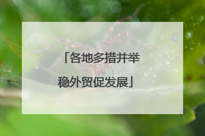 各地多措并举稳外贸促发展