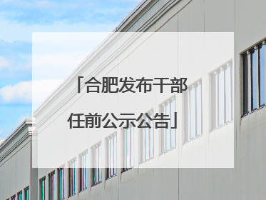 合肥发布干部任前公示公告