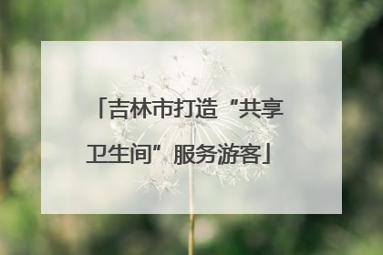 吉林市打造“共享卫生间”服务游客