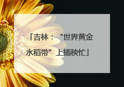 吉林：“世界黄金水稻带”上插秧忙