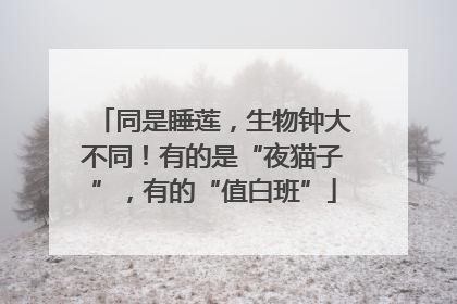 同是睡莲，生物钟大不同！有的是“夜猫子”，有的“值白班”