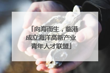 向海而生，临港成立海洋高新产业青年人才联盟
