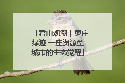 君山观潮｜枣庄绿迹 一座资源型城市的生态觉醒