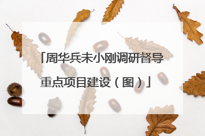 周华兵未小刚调研督导重点项目建设（图）