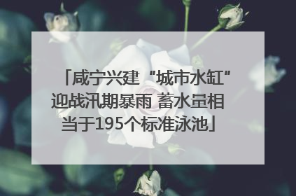 咸宁兴建“城市水缸”迎战汛期暴雨 蓄水量相当于195个标准泳池