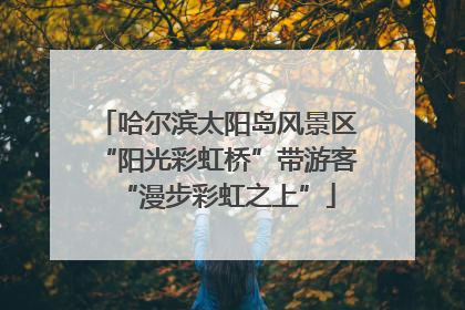 哈尔滨太阳岛风景区“阳光彩虹桥”带游客“漫步彩虹之上”