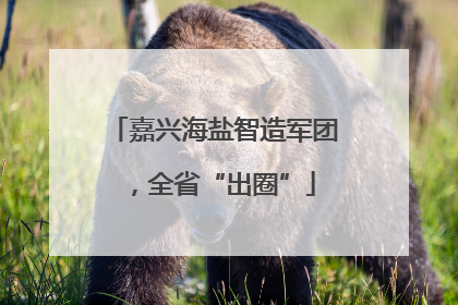 嘉兴海盐智造军团，全省“出圈”