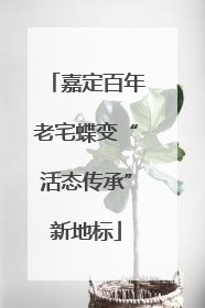 嘉定百年老宅蝶变“活态传承”新地标