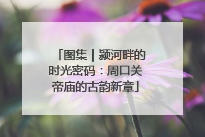 图集｜颍河畔的时光密码：周口关帝庙的古韵新章