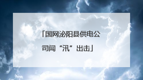 国网泌阳县供电公司闻“汛”出击