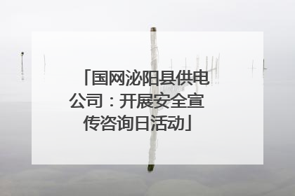 国网泌阳县供电公司：开展安全宣传咨询日活动