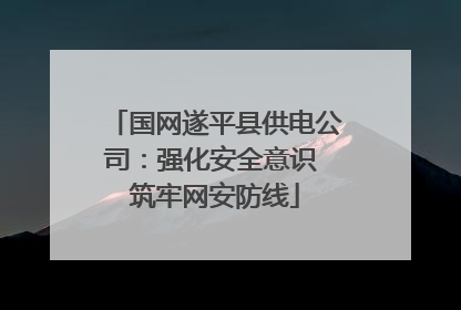 国网遂平县供电公司：强化安全意识 筑牢网安防线