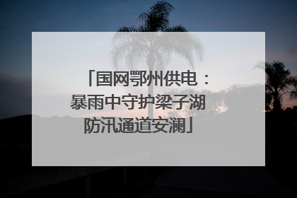 国网鄂州供电：暴雨中守护梁子湖防汛通道安澜