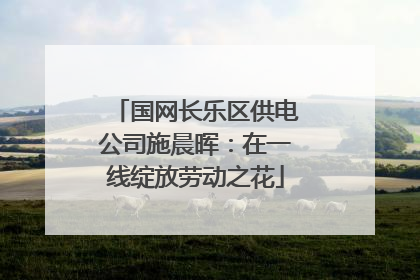 国网长乐区供电公司施晨晖：在一线绽放劳动之花