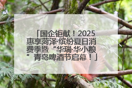 国企钜献！2025惠享菏泽·缤纷夏日消费季暨“华瑞·华小粮”青岛啤酒节启幕！