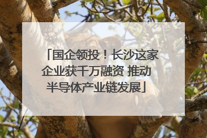 国企领投！长沙这家企业获千万融资 推动半导体产业链发展