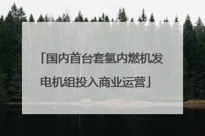 国内首台套氢内燃机发电机组投入商业运营
