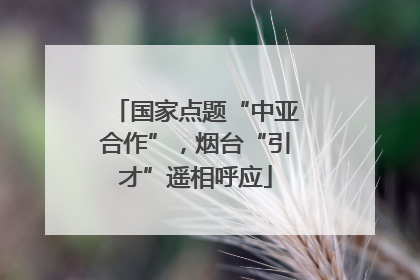 国家点题“中亚合作”，烟台“引才”遥相呼应