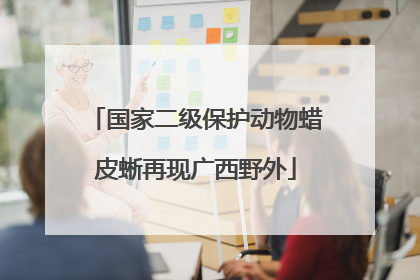 国家二级保护动物蜡皮蜥再现广西野外