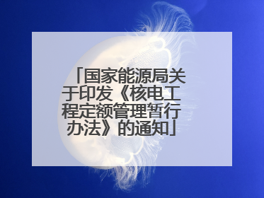 国家能源局关于印发《核电工程定额管理暂行办法》的通知