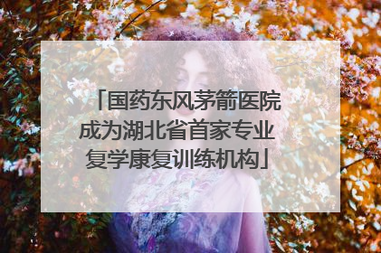 国药东风茅箭医院成为湖北省首家专业复学康复训练机构