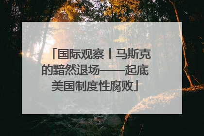 国际观察丨马斯克的黯然退场——起底美国制度性腐败