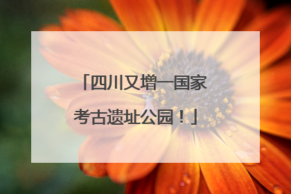 四川又增一国家考古遗址公园！