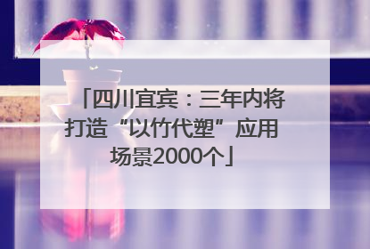 四川宜宾：三年内将打造“以竹代塑”应用场景2000个