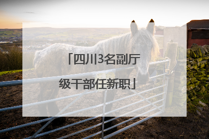 四川3名副厅级干部任新职