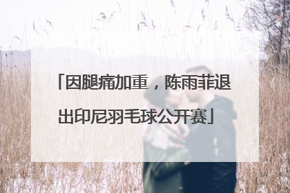 因腿痛加重，陈雨菲退出印尼羽毛球公开赛