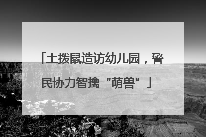 土拨鼠造访幼儿园，警民协力智擒“萌兽”