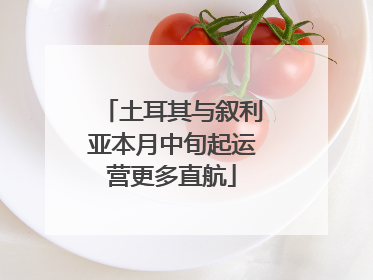 土耳其与叙利亚本月中旬起运营更多直航