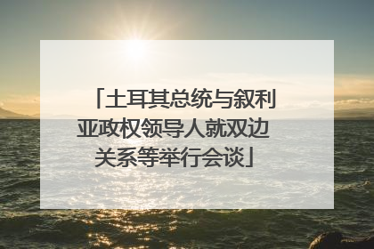 土耳其总统与叙利亚政权领导人就双边关系等举行会谈