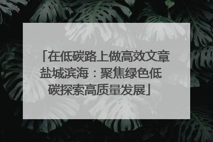 在低碳路上做高效文章 盐城滨海：聚焦绿色低碳探索高质量发展
