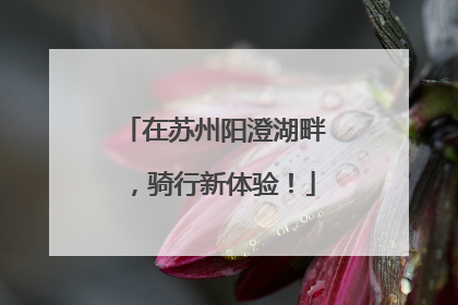 在苏州阳澄湖畔，骑行新体验！