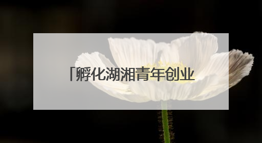 孵化湖湘青年创业梦想，第十二届湖南省大学生电子商务大赛圆满收官