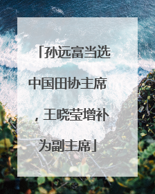 孙远富当选中国田协主席，王晓莹增补为副主席