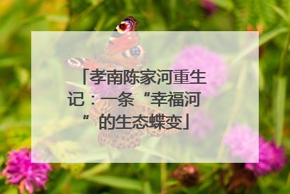 孝南陈家河重生记：一条“幸福河”的生态蝶变