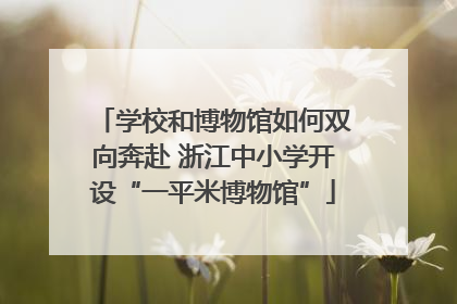 学校和博物馆如何双向奔赴 浙江中小学开设“一平米博物馆”